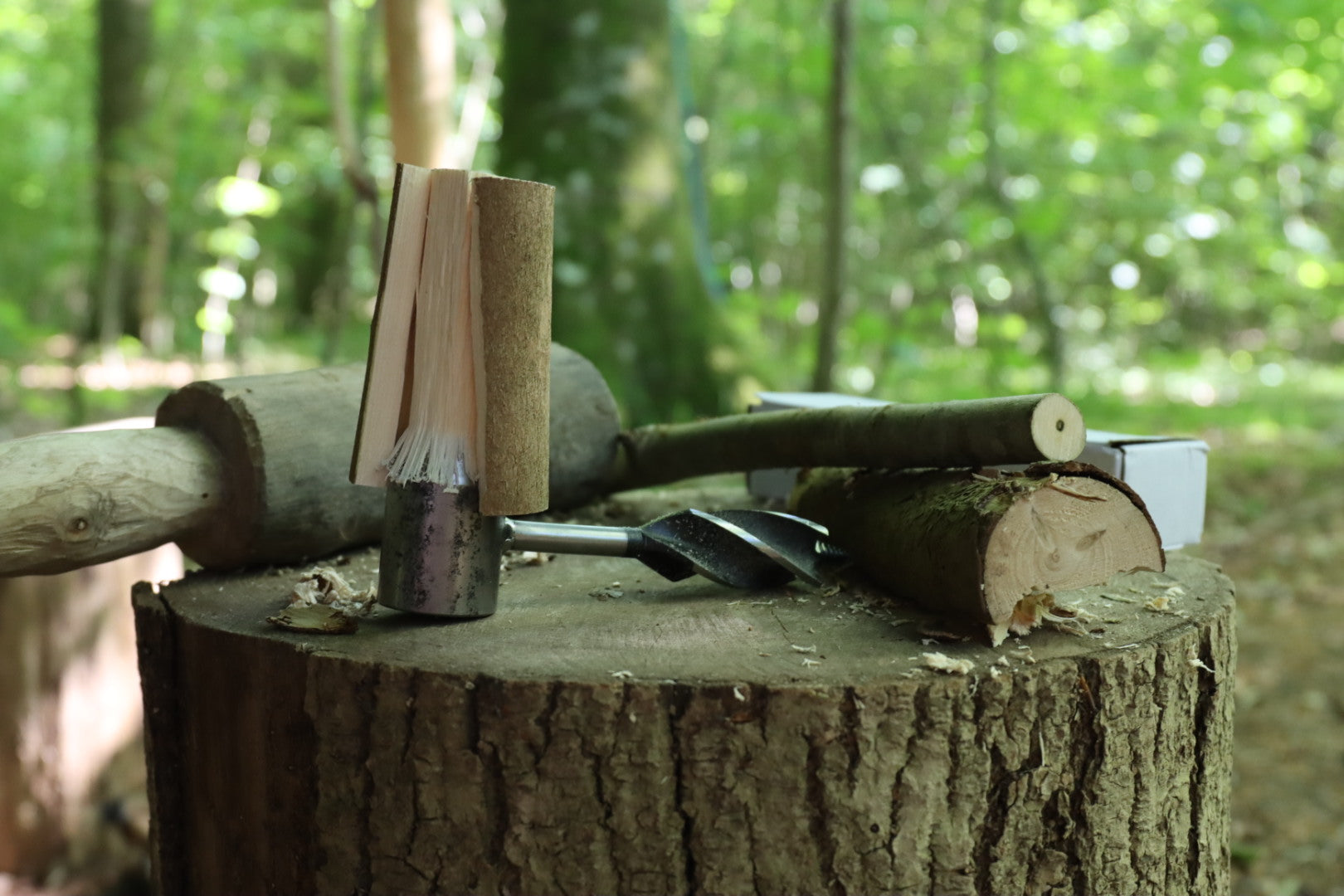 Bush Auger & dyvel jern