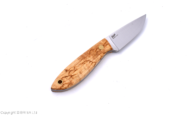 Bobtail 80 Curly Birch - Brisa