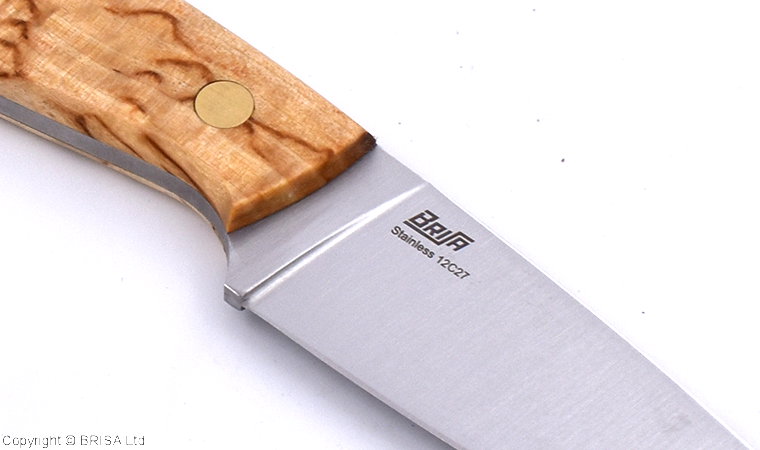 Bobtail 80 Curly Birch - Brisa