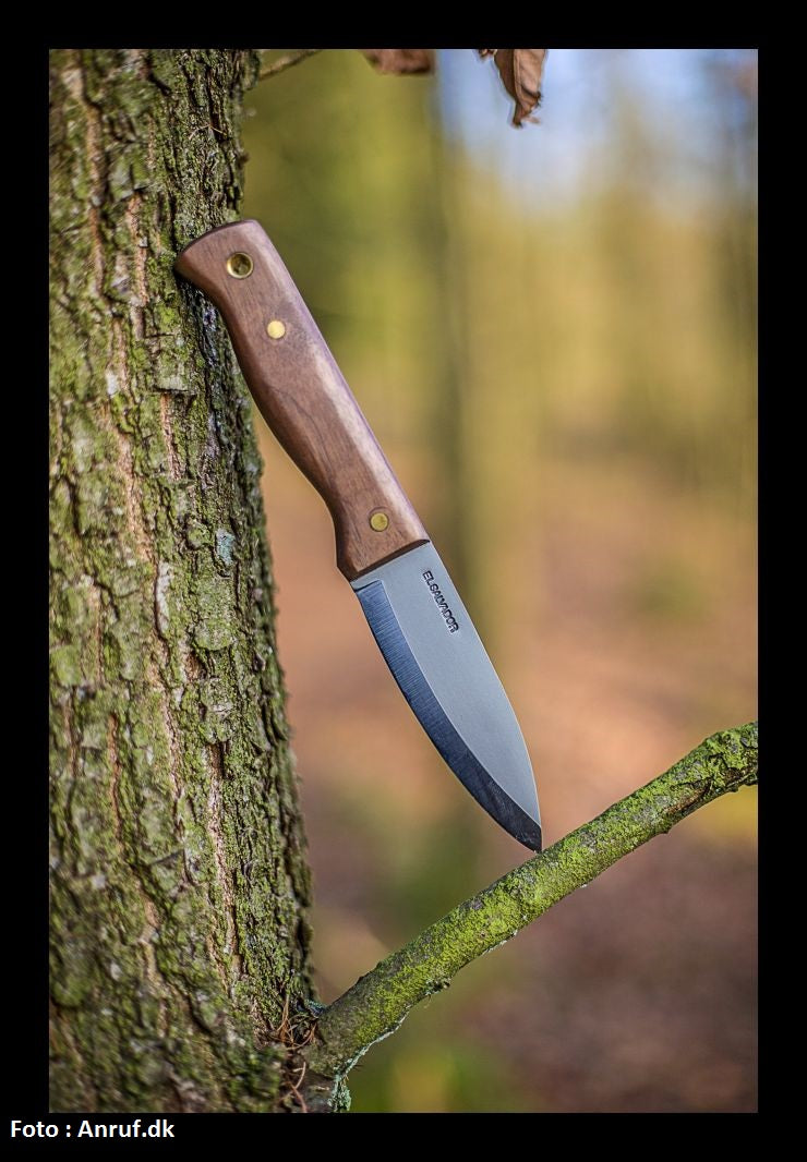 Condor Bushlore