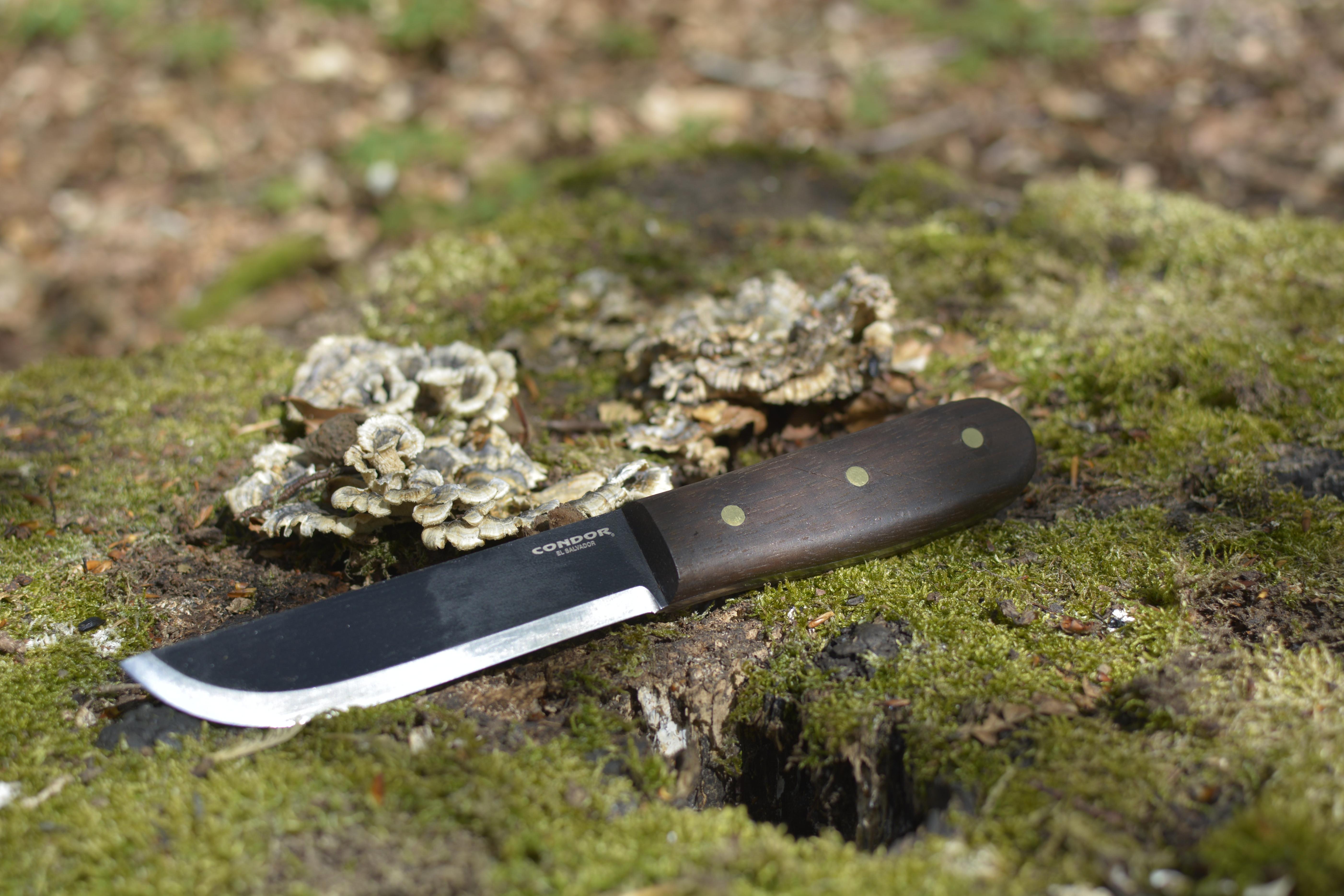 Condor Bushcraft Basic 5"