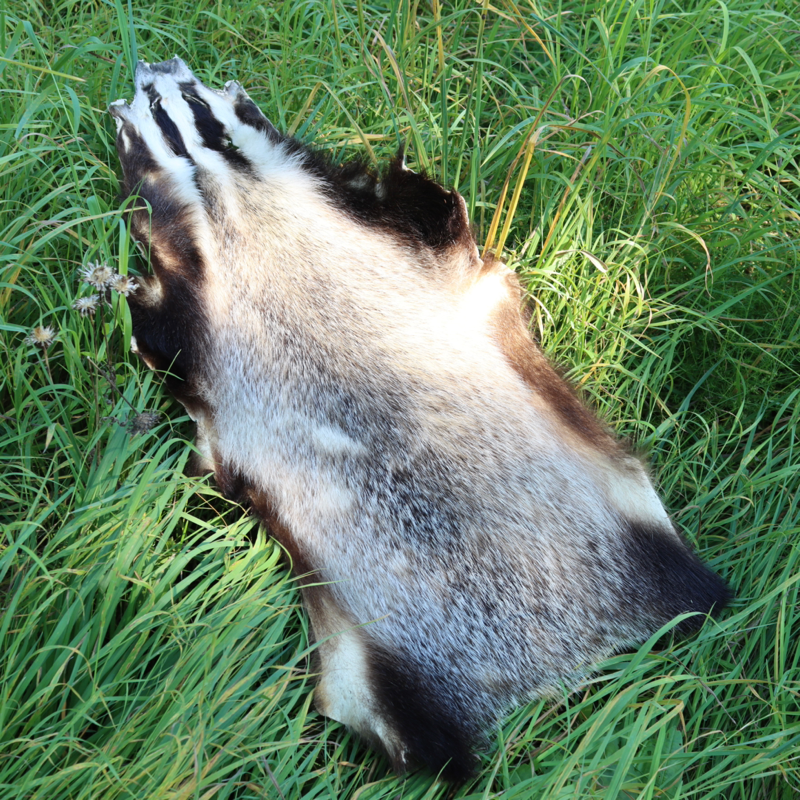 Grævlinge skind - Hel