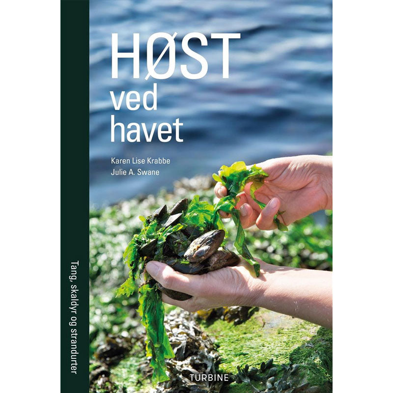 Høst ved havet - Tang, skaldyr og strandurter