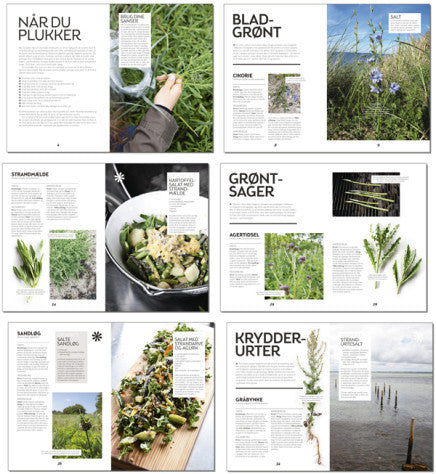 Spis Strandurter - lær om spiselige strandplanter