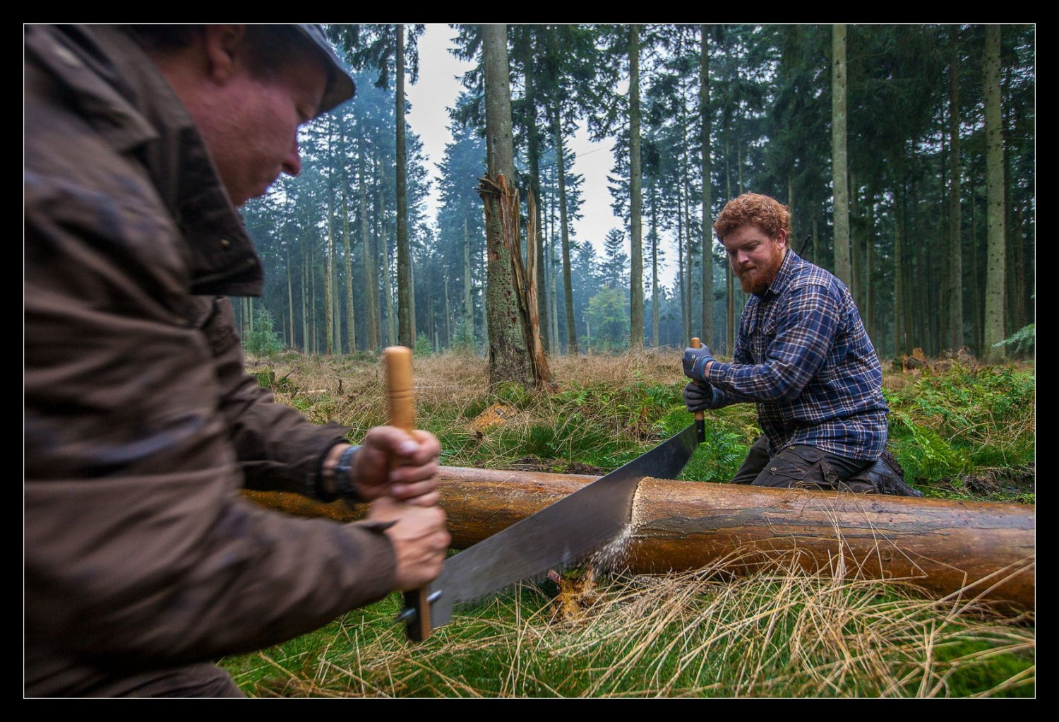 Tomands Crosscut sav