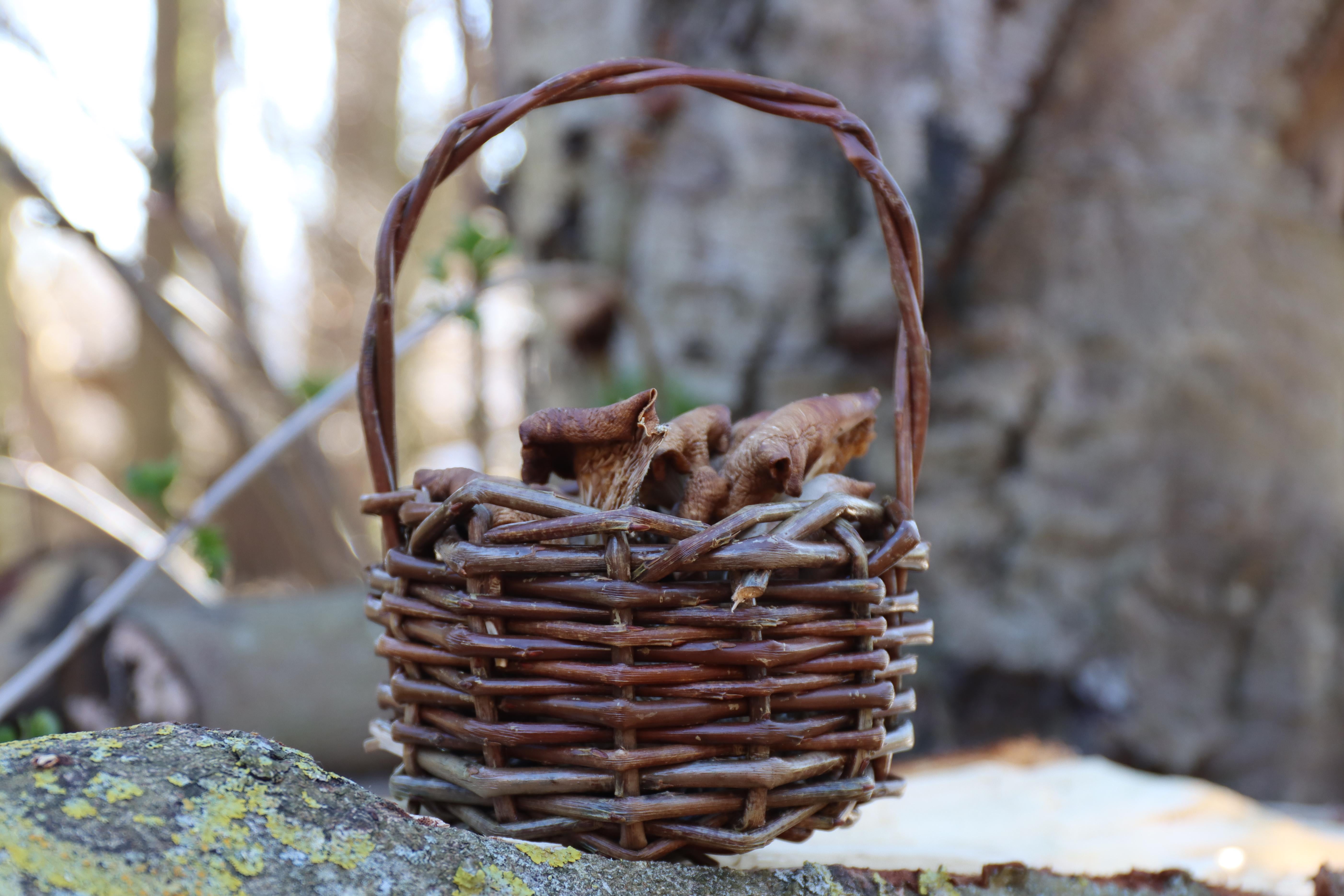 Bushcraft Håndværk