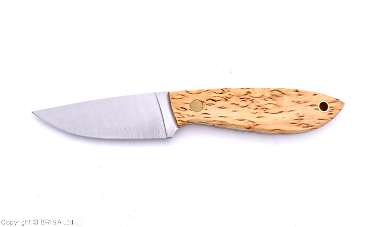 Bobtail 80 Curly Birch - Brisa