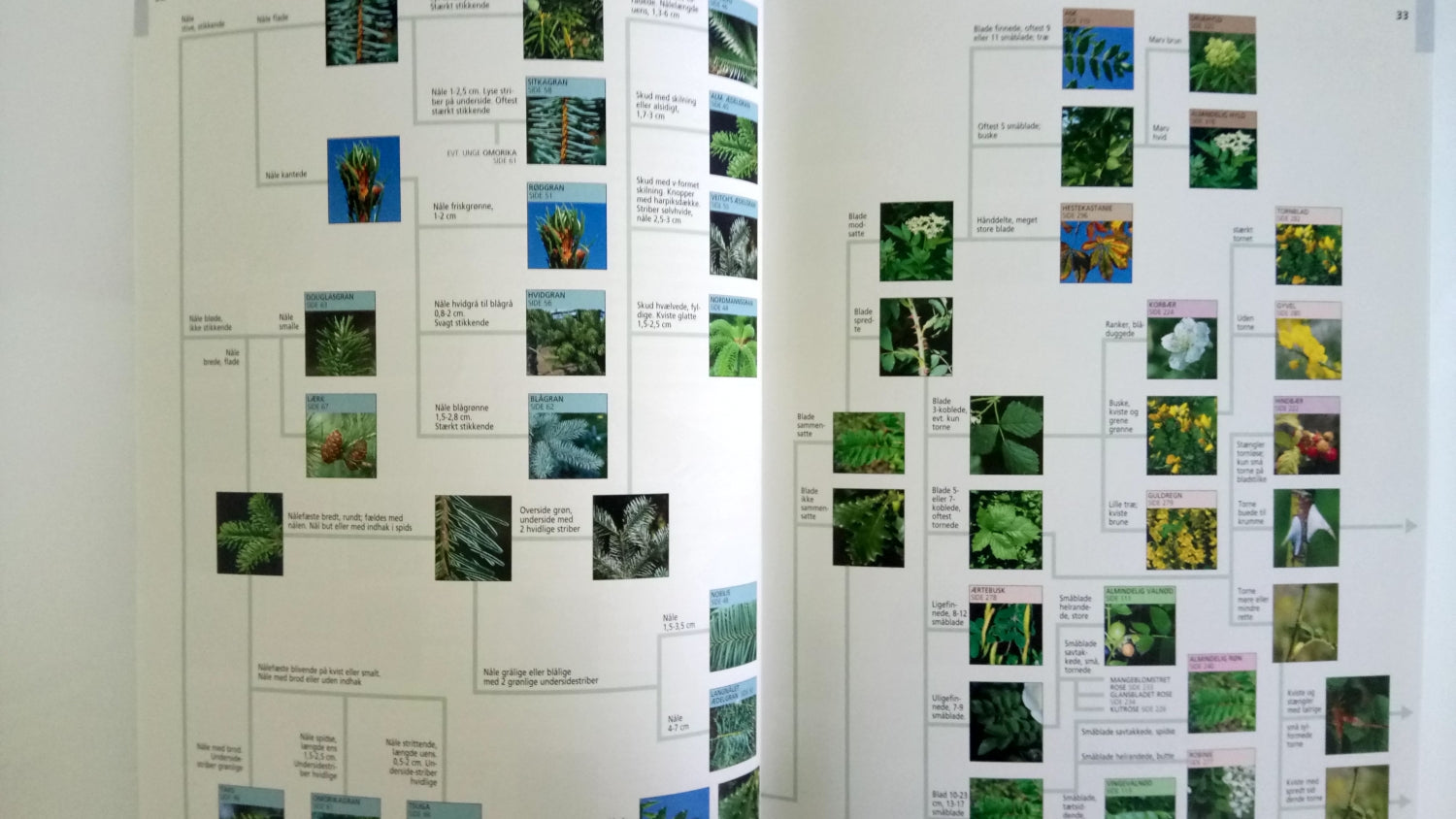 Danmarks træer og buske