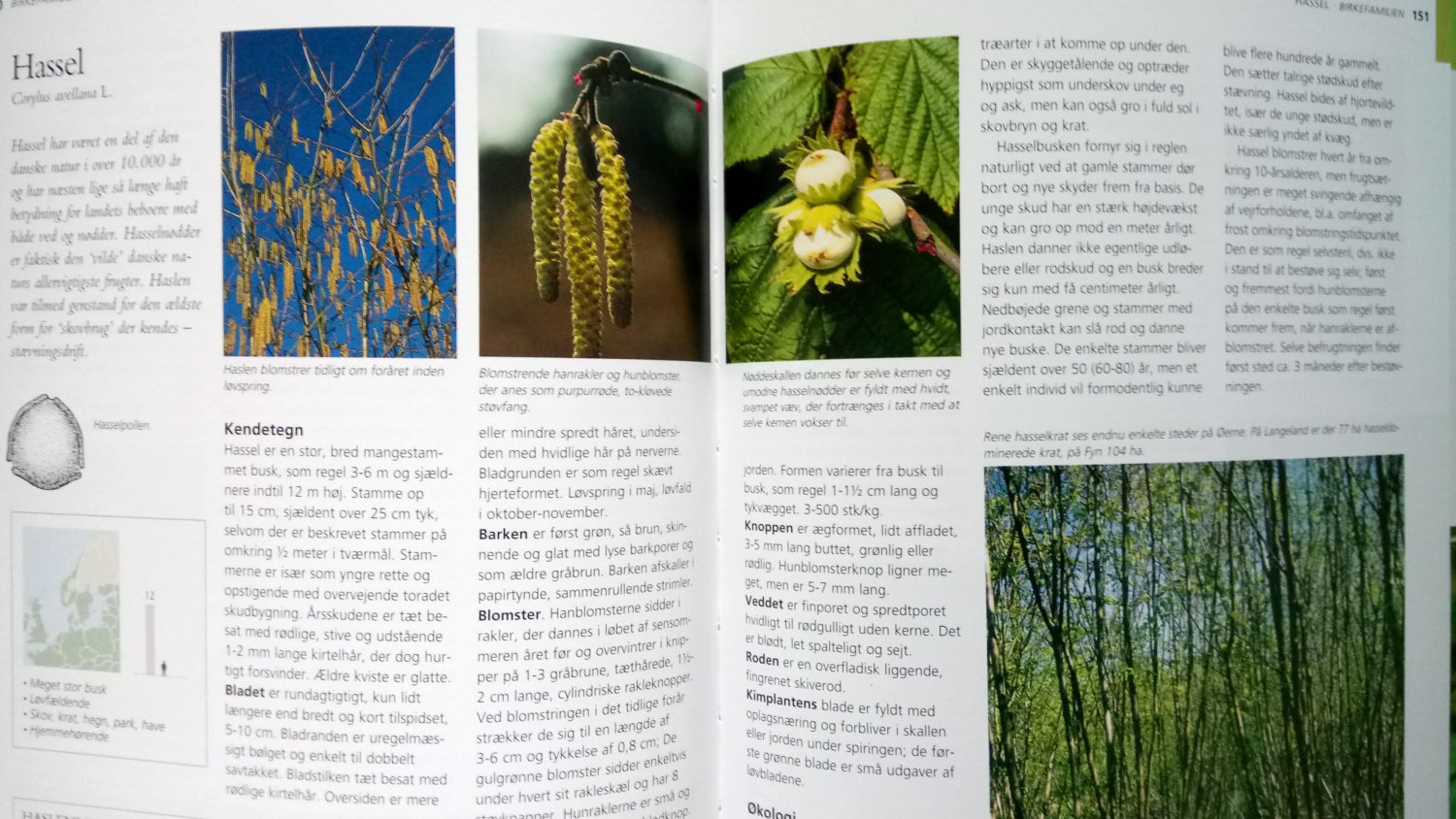 Danmarks træer og buske