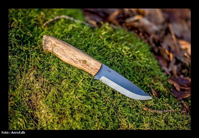 Trapper 95 curly birch - Brisa