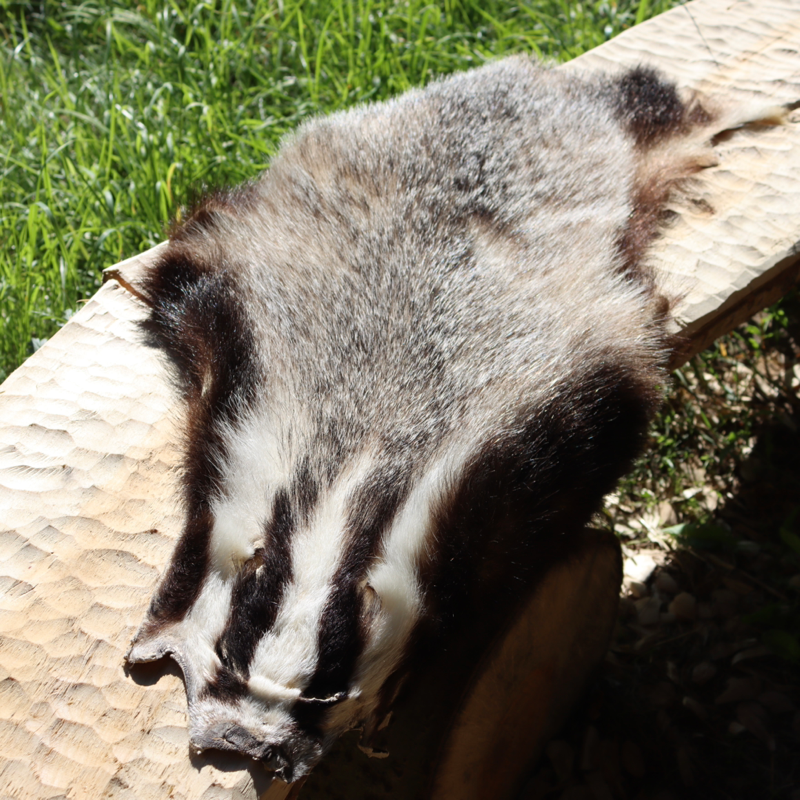 Grævlinge skind - Hel