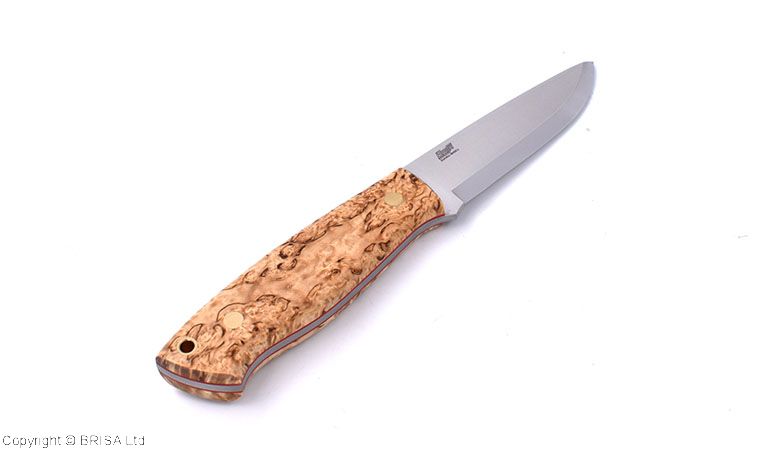 Trapper 95 curly birch - Brisa