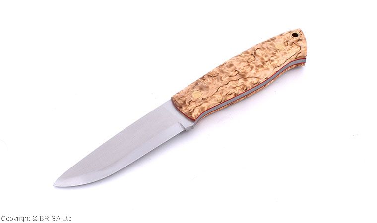 Trapper 95 curly birch - Brisa