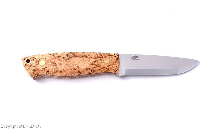 Trapper 95 curly birch - Brisa