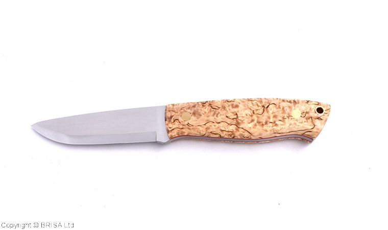 Trapper 95 curly birch - Brisa