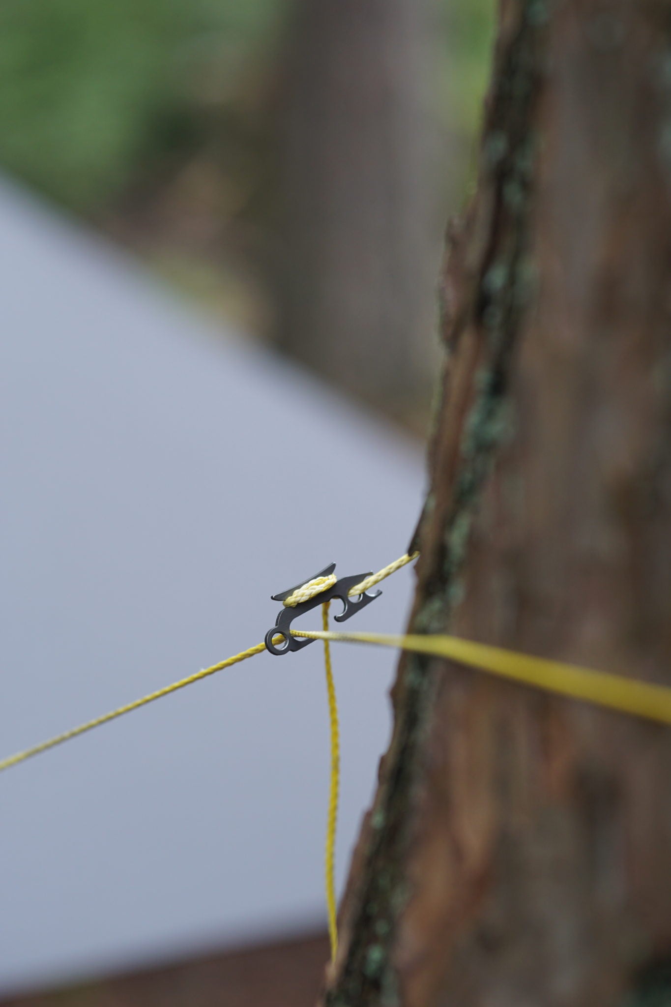 Warbonnet Tarptick